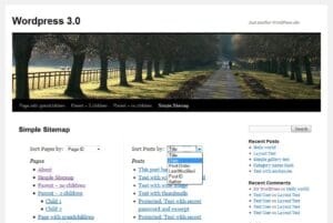 11 things a successful website needs