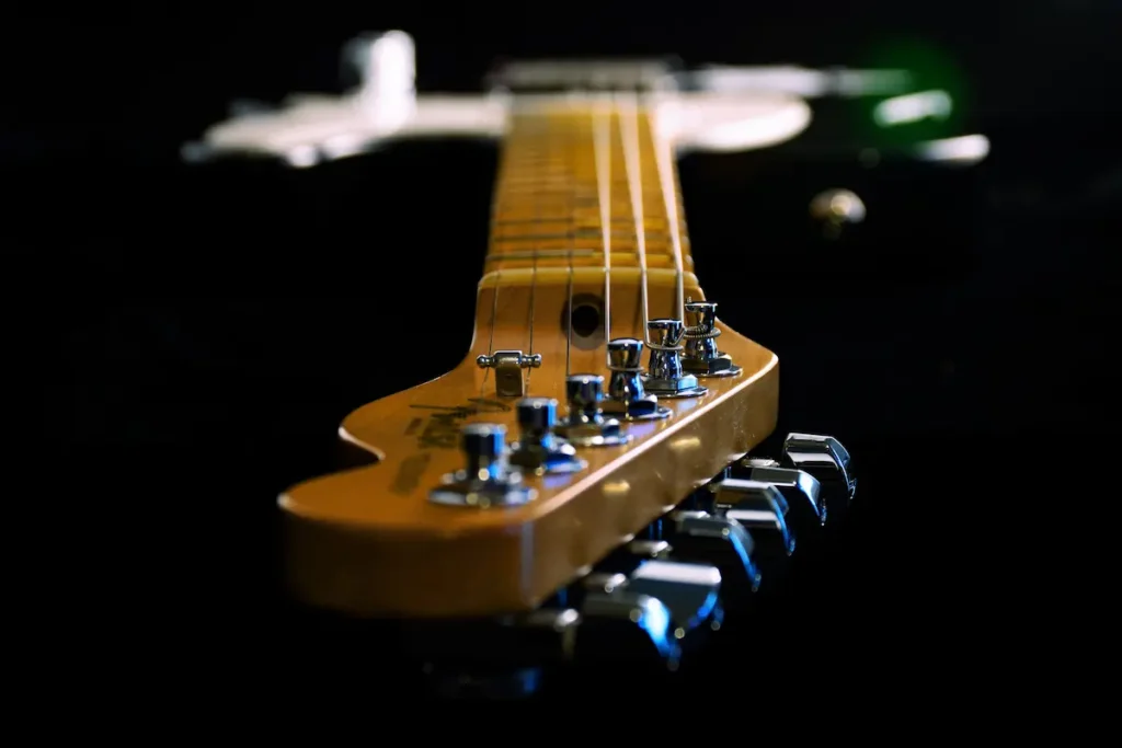Fender Stratocaster Fretboard